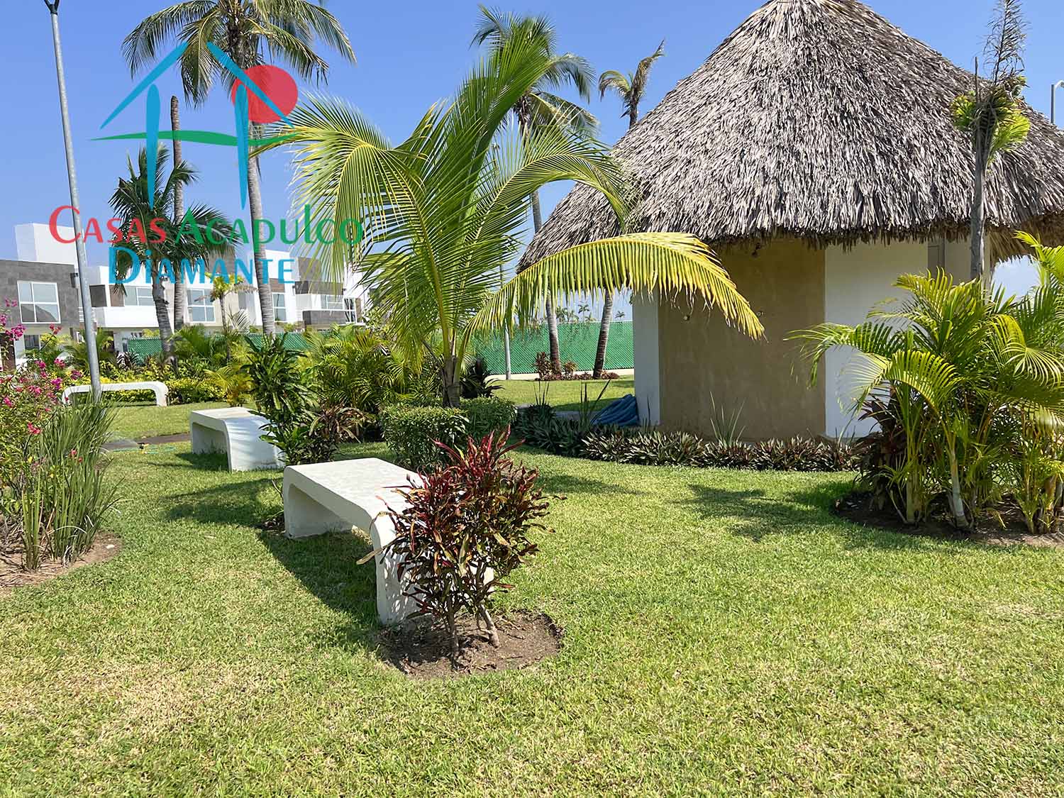 Dream Diamante - Jardines 8